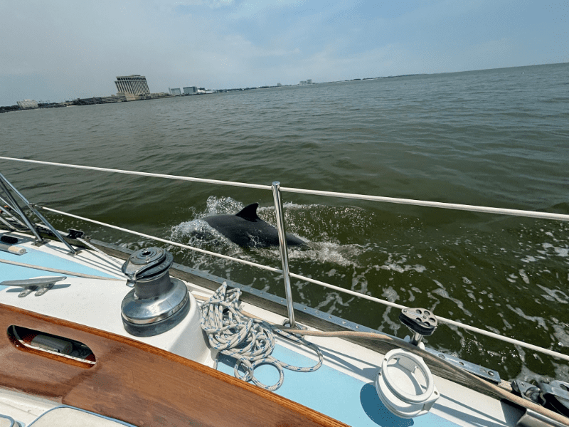 sailboat charter biloxi ms